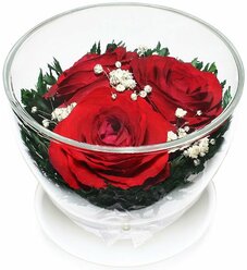 Natural Flowers Розы в стекле CuSr3 (8,5 см)