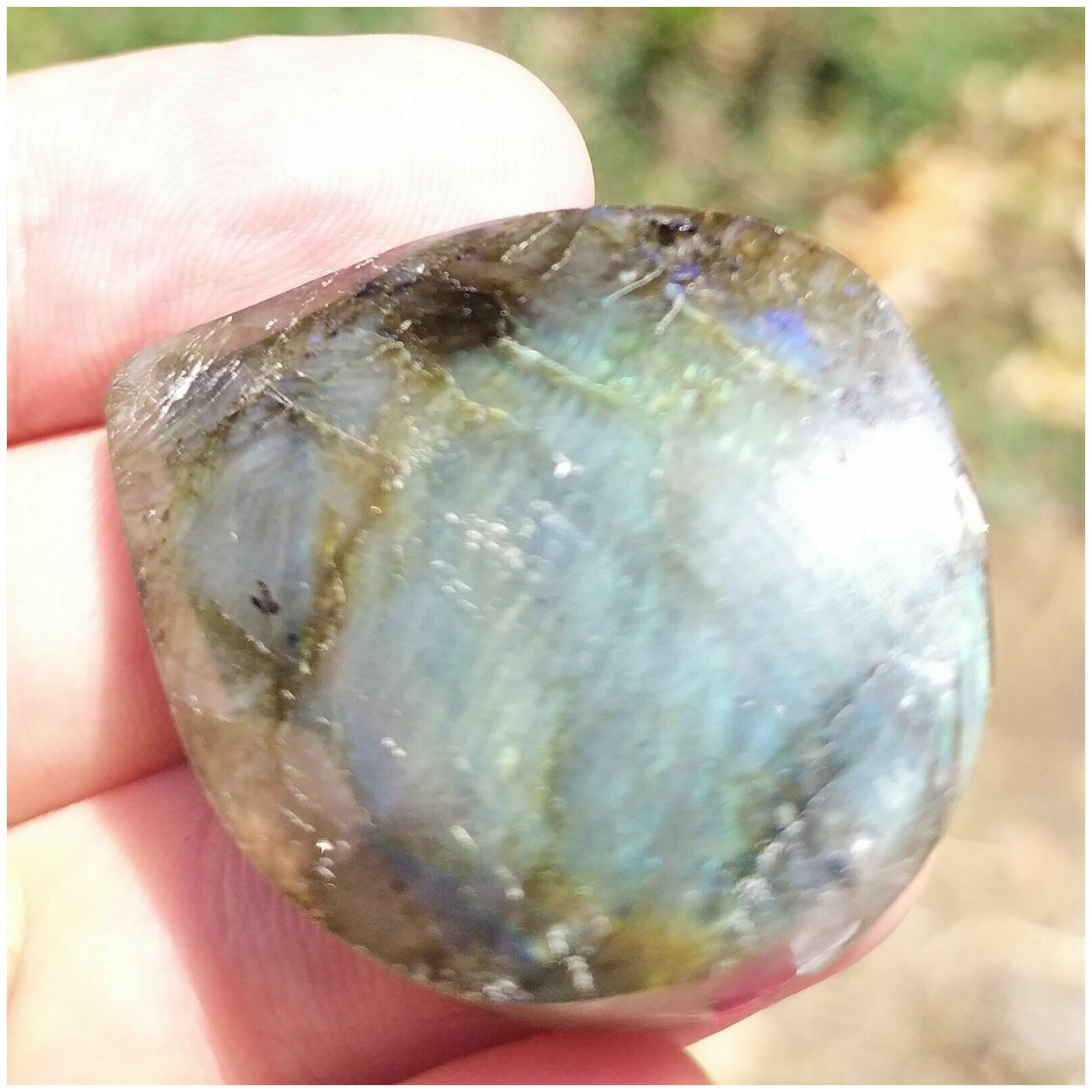 Лабрадор 19 г. 40*30*9 мм — фото 1