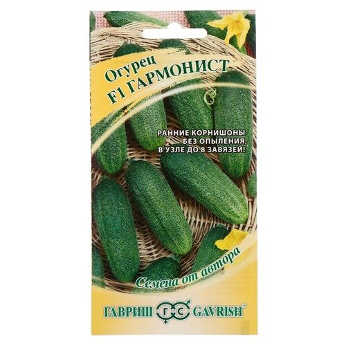 Семена. Огурец Гармонист F1, 10 штук (10 пакетов) (количество товаров в комплекте: 10)