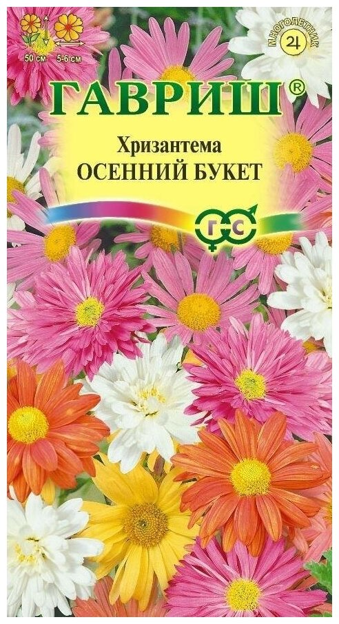 Хризантема индийская фуджи сноу — купить по низкой цене на Яндекс Маркете