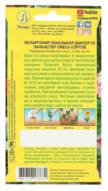 Семена цветов Пеларгония "Дансер Ланкастер", смесь окрасок, F2, 5 шт. 4657966