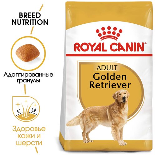 Сухой корм для собак Royal Canin Золотистый ретривер 1 уп. х 2 шт. х 12 кг (для крупных пород) golden retriever gift vintage retro 70s dog lovers t shirt