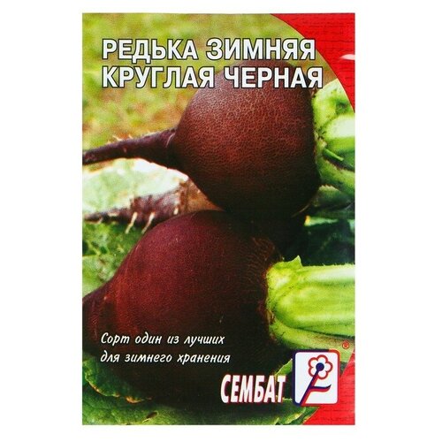 Семена Редька "Зимняя круглая черная", 3 г (6 шт)
