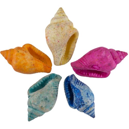 Zlatka Blumentag DRF-009 Ракушки 100 г 5 г 12 см Nassa Dyed Asstd 1112₽