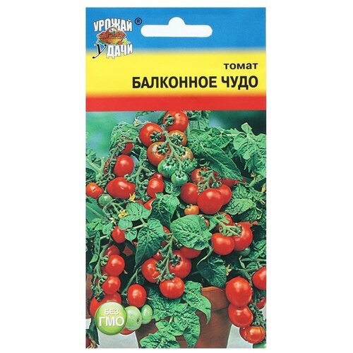 Семена Томат Балконное чудо, 0,1 г (3 шт) семена томат чудо алтая 0 05 гр 3 упаковки 2 подарка