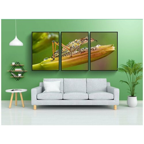 фото Набор модулных постеров для интерьера "digiart, насекомое, дикая природа" 60x90 см. в тубусе, без рамки lotsprints