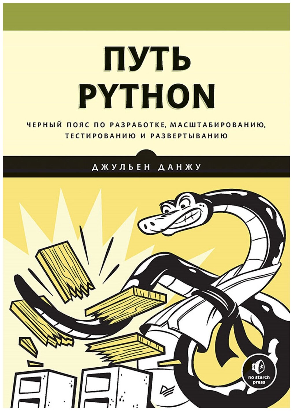Путь Python. Черный пояс по разработке, масштабированию, тестированию и развертыванию - фото №1