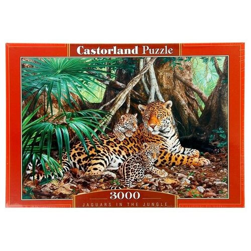 Купить Пазл Ягуары в джунглях, 3000 элементов Castorland 846318 ., картон, unisex