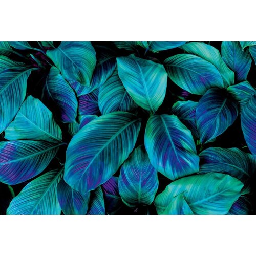 Фотообои DeliceDecor И 963 Сине-зеленые листья 400х270см
