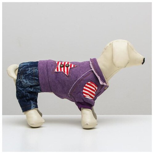 фото Комбинезон для собак cocoa honey на меховом подкладе, xs, (ош 18-22, ог 27-32, дс 20 см), фиолетовый