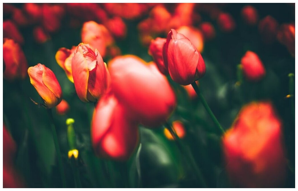 Картины для декора, картины в детскую, картины для детей, детские ...