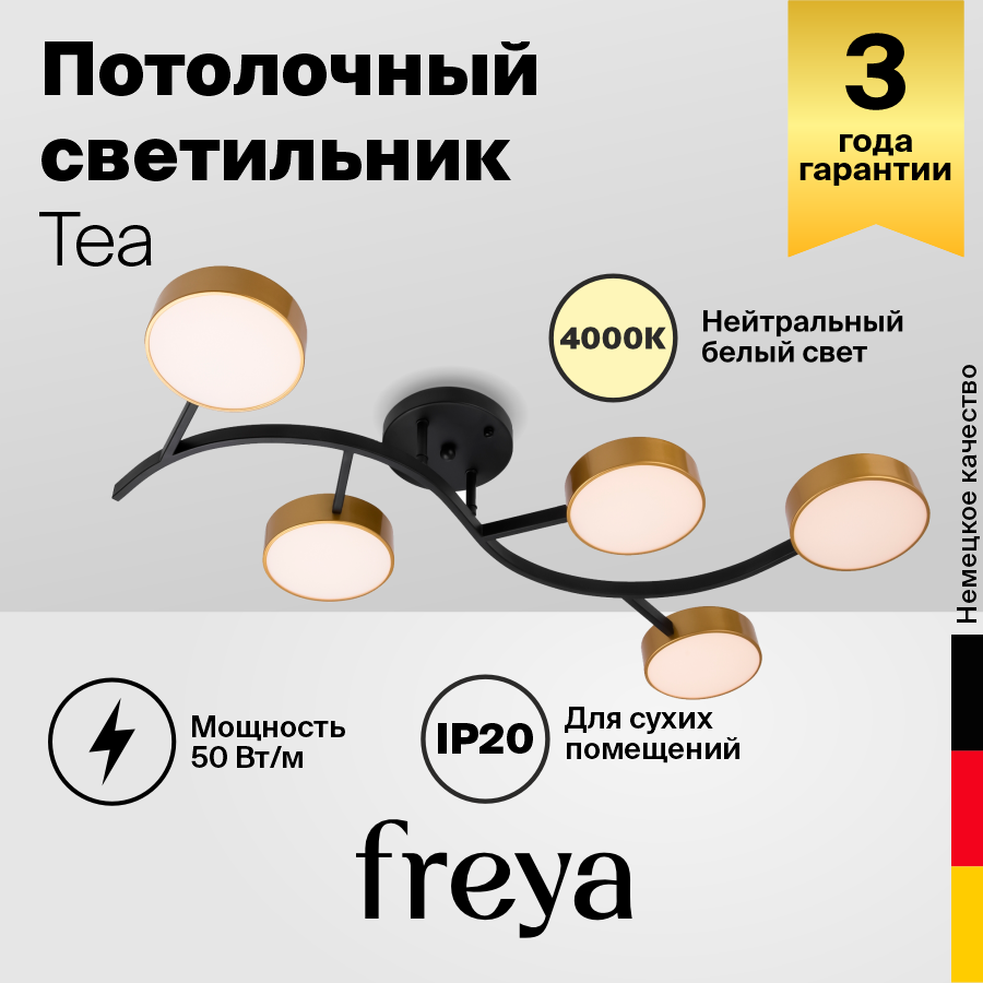 Потолочный светильник Freya FR6048CL-L10GB