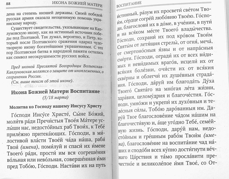 Молитвы к 145 чудотворным иконам Божией Матери, с указанием на особую благодать помощи в различных нуждах и немощах человеческих - фото №3