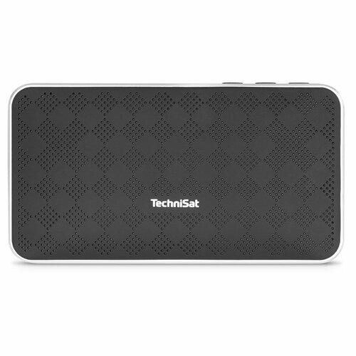 Колонка Technisat Bluspeaker FL 200 00009113 596500₽