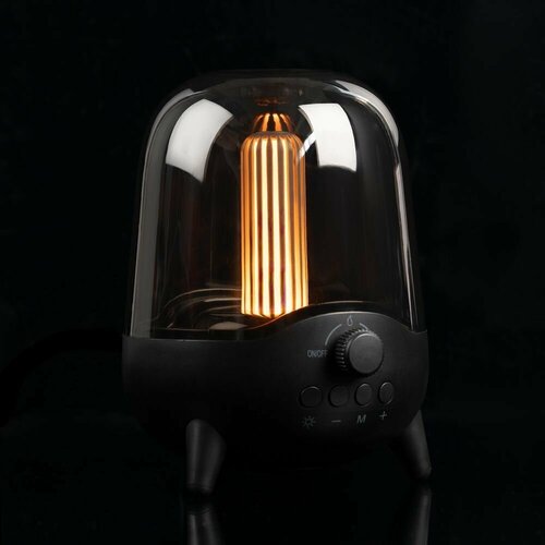 Беспроводная колонка с подсветкой soundFlicker черная 476000₽