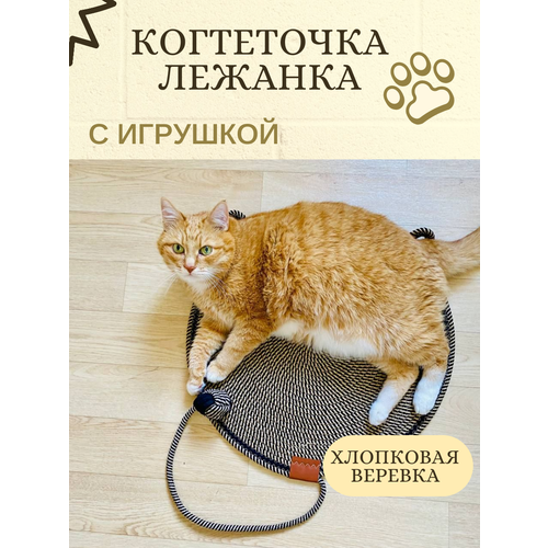 Когтеточка лежанка 900₽