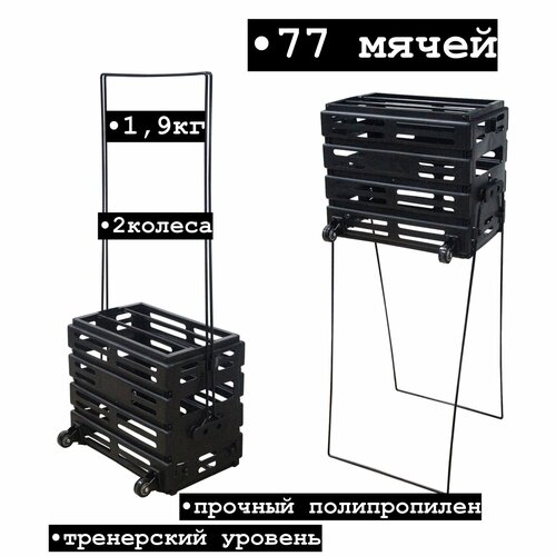 Корзина на 77 мячей.