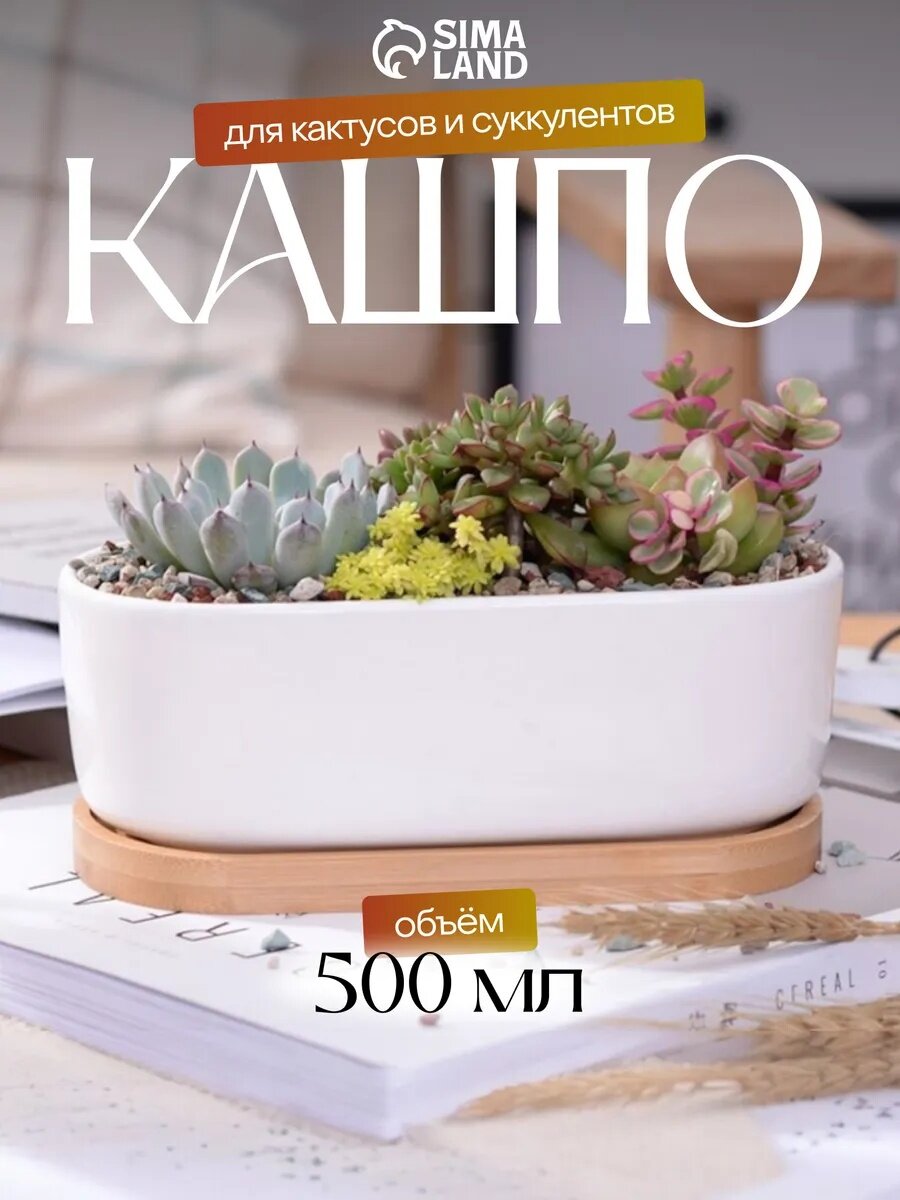 Горшок для кактусов и суккулентов «Эко бонсай» 500 мл 17×9×6 см керамика с поддоном белый