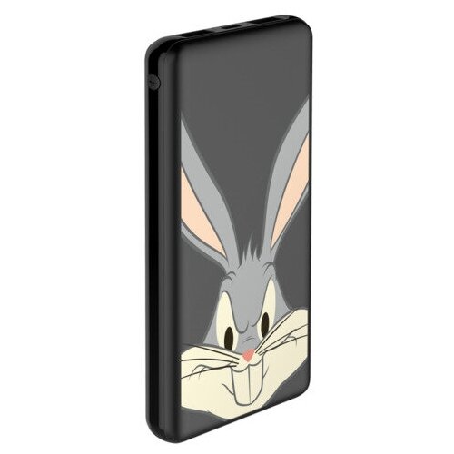 Внешний АКБ 10000 mAh 2 USB 1 MICRO 21A Li-pol черный LT02_21 Deppa 33587 139000₽