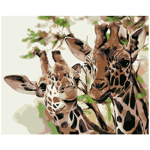 фото Hs0460 набор для рисования по номерам 'два жирафа' 40*50см hobruk