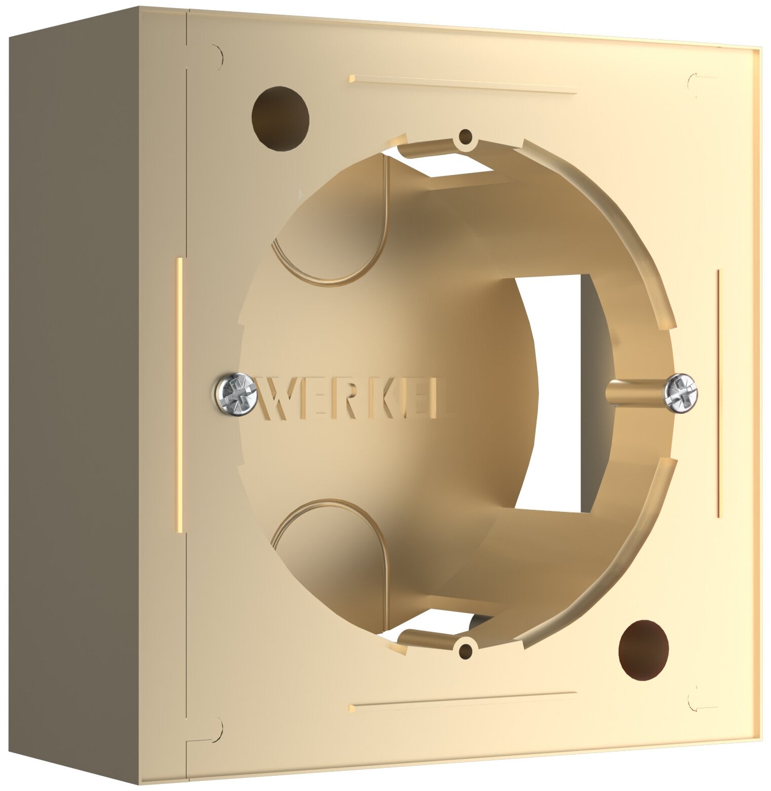 Коробка для накладного монтажа Werkel W8000011 шампань a053529 - фотография № 1