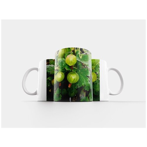 фото Кружка "крыжовник, фрукты, разнообразие фруктов" 320 мл lotsprints