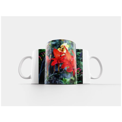 фото Кружка "лили, декоративные сад, апельсин" 320 мл lotsprints