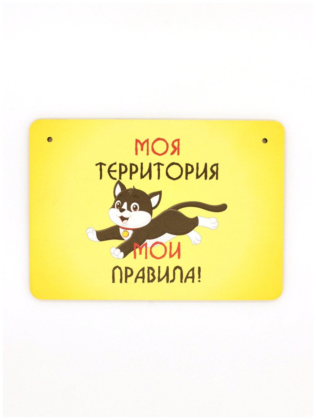 Табличка декоративная интерьерная на дверь "Моя территория мои правила", формат А5 (21х14,8 см)