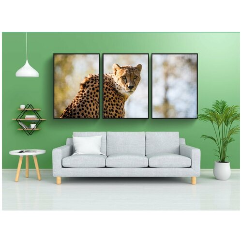 фото Набор модулных постеров для интерьера "гепард, большой кот, животное" 60x90 см. в тубусе, без рамки lotsprints