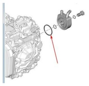 Кольцо теплообменника Citroen / Peugeot 227553 Citroen / Peugeot: 227553