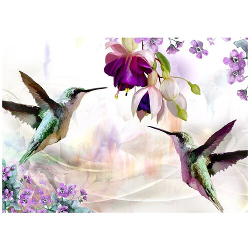 Колибри живопись - Виниловые фотообои, (211х150 см) колибри цвет виниловые фотообои 211х150 см