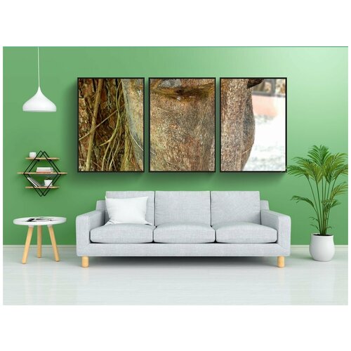 фото Набор модулных постеров для интерьера "лицо, древесина, дерево" 60x90 см. в тубусе, без рамки lotsprints