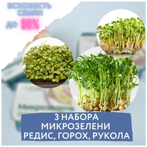 Микрозелень 3 набора для выращивания микрозелени горох/редис/рукола (3 контейнера с семенами микрозелени и минераловатным субстратом) семена гороха мадрас для проращивания микрозелени 3 кг ясени зелёный