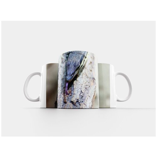 фото Кружка "ящерица, игуана, камуфляж" 320 мл lotsprints