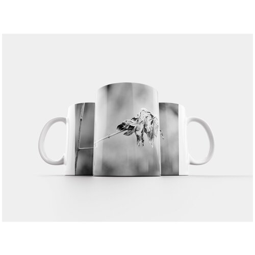 фото Кружка "серая шкала, изображение, сухой" 320 мл lotsprints