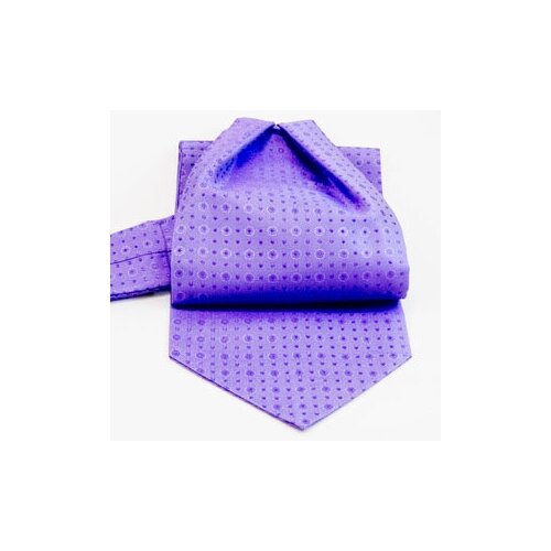 фото Шейный мужской платок (аскот) dominique lemay