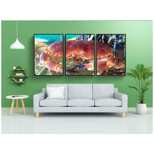 фото Набор модулных постеров для интерьера "рак, вода, датчик" 60x90 см. в тубусе, без рамки lotsprints