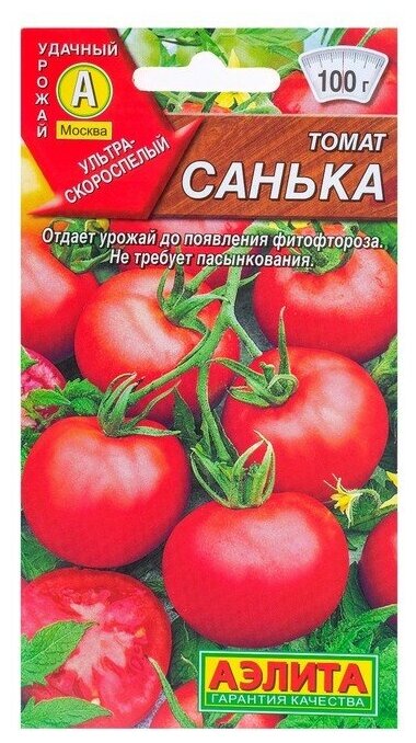 Семена Томат 