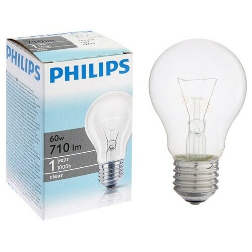 Лампа накаливания Philips Stan A55 CL 1CT/6х10F, E27, 60 Вт, 230 В