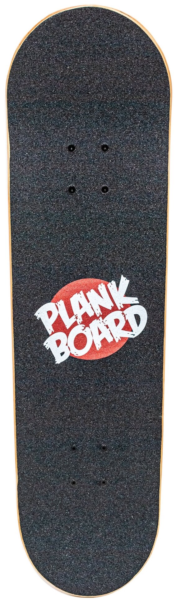 Plank - фото №3