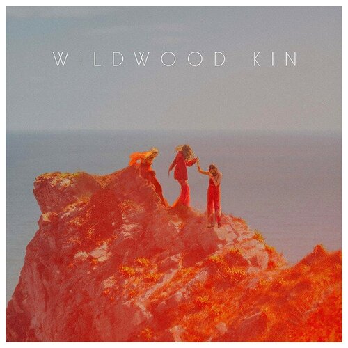 Виниловые пластинки, Sony Music, WILDWOOD KIN - Wildwood Kin (LP) sony music the script 3 lp