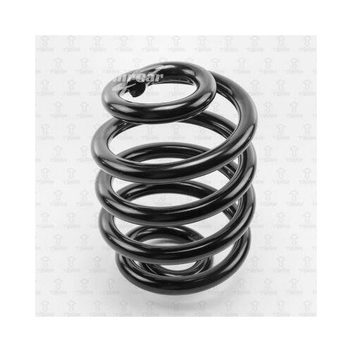 фото Torr df0148 пружина подвески