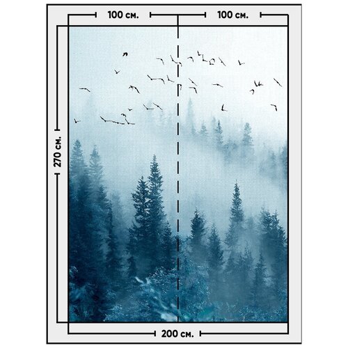 Фотообои / флизелиновые обои Лес и туман 2 x 2,7 м фотообои флизелиновые обои лес чудес 4 x 2 7 м