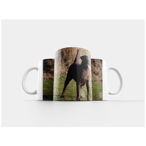 фото Кружка "собака, лабрадор, стоя" 320 мл lotsprints