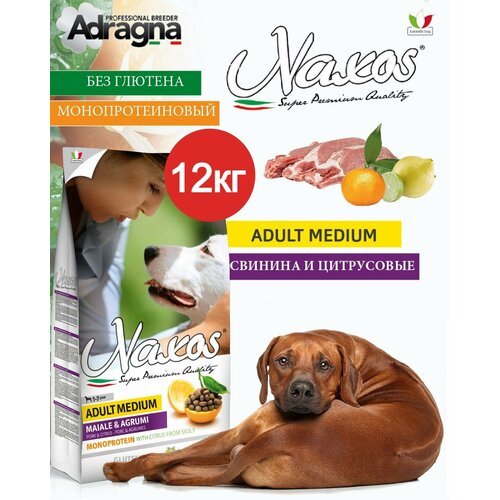 Монопротеиновый гипоаллергенный сухой корм для собак средних пород Naxos Adult Medium (Maiale and Citrus) со свининой и цитрусовыми. (12 кг) Италия