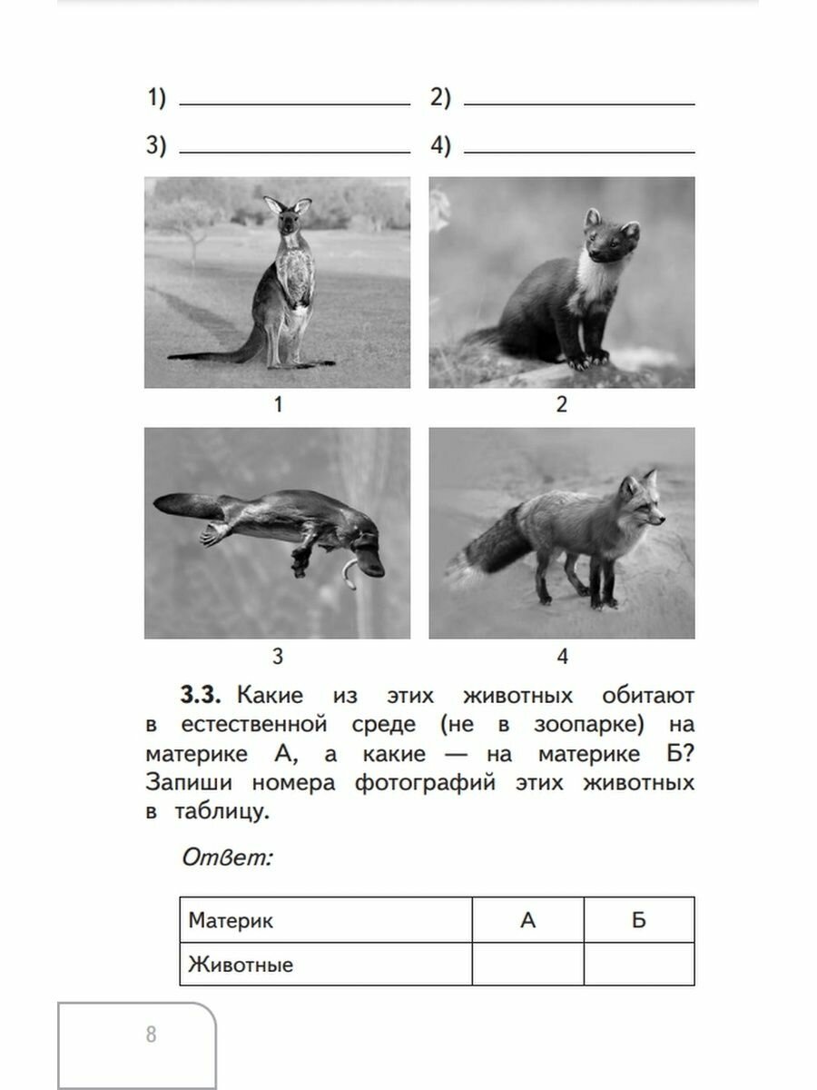 Окружающий мир. 3-4 классы. Справочник. Готовимся к ВПР - фото №3