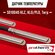 Датчик бойлера (SO10045, 1м) PROTHERM Тигр/Медведь (арт. 0020027633_н/о)