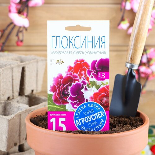 Семена комнатных цветов Глоксиния Mахровая смесь, F1, 5 шт. (1шт.)