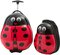 *3087 Lady Bug