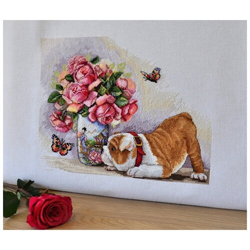 K-94 Бульдог и бабочки